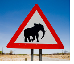 Elephant Crossing Sign