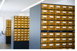 File Catalog